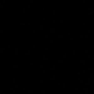 Meet your Posher, Tony